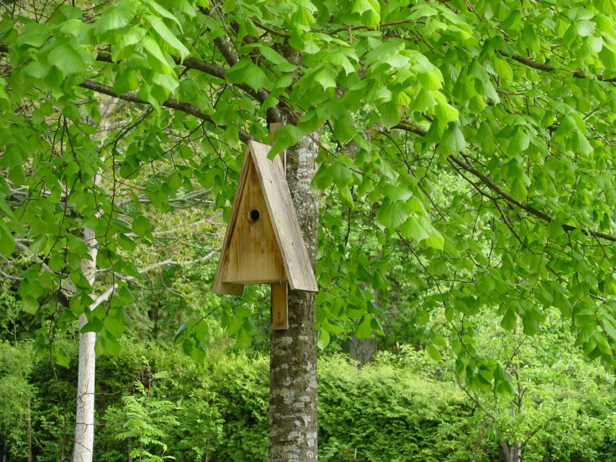 Ferienwohnung Geismayr Dornbirn Ngoại thất bức ảnh